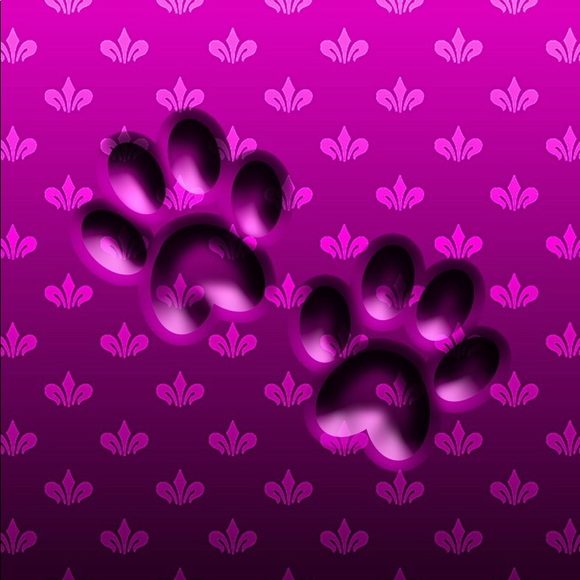 Alexander Wang Handbags - Trade do not buy